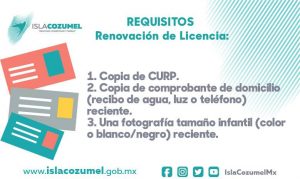 mexican-renewal-license
