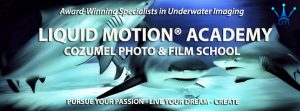 liquid-motion-academy-master2