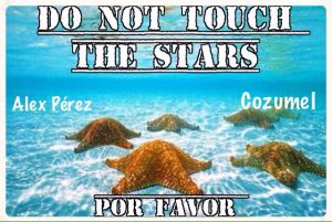 cielo-do-not-touch-the-starfish